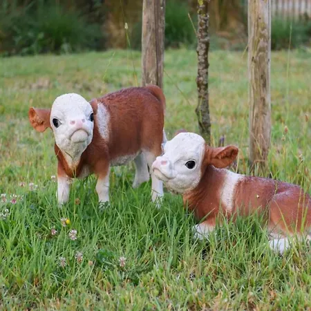 Waveside Corner Apartment, Cleaning Included Apartment Nieuwpoort