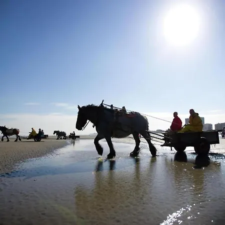 Waveside Corner Apartment, Cleaning Included * Nieuwpoort